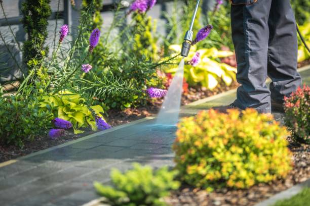 Best Fence Cleaning  in Northampton, MA