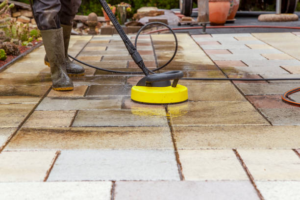 Best Dumpster Area Cleaning  in Northampton, MA